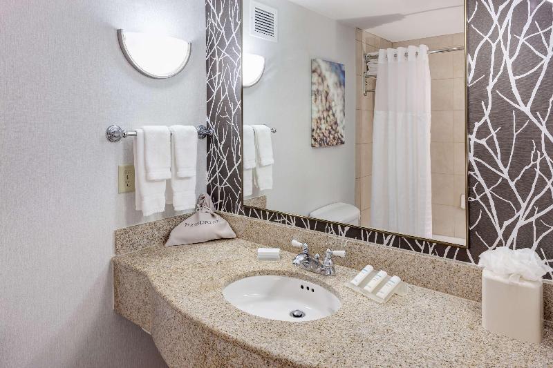 스탠다드 룸 킹사이즈 침대, Hilton Garden Inn Frisco