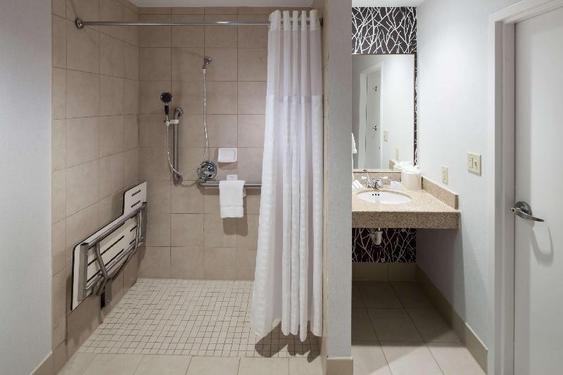 스탠다드 룸 킹사이즈 침대, Hilton Garden Inn Frisco