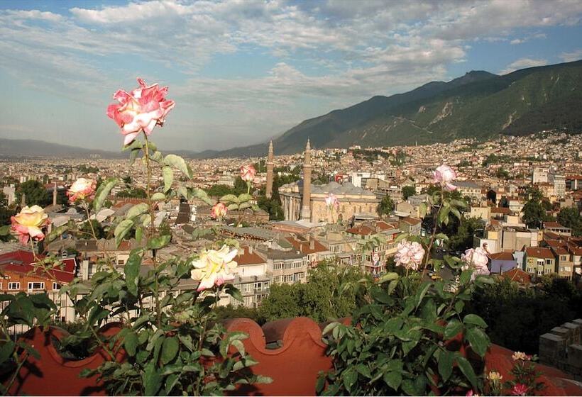 1 Bedroom Penthouse Apartment