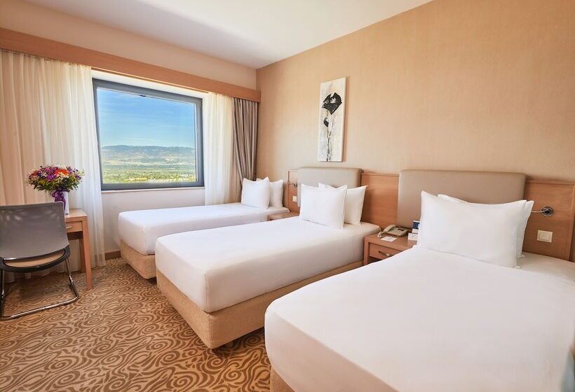 غرفة قياسية ثلاثية, Park Dedeman Denizli