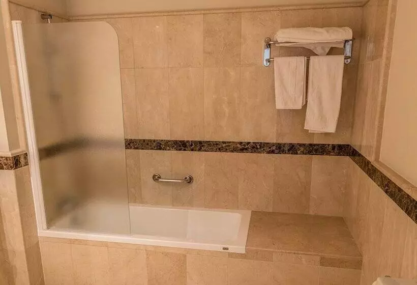 اتاق استاندارد یک نفره, Sevilla