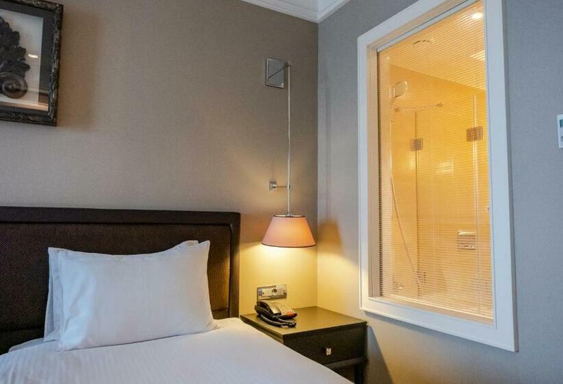 اتاق سوپریور با چشمانداز شهر, Windsor Hotel & Convention Center Istanbul