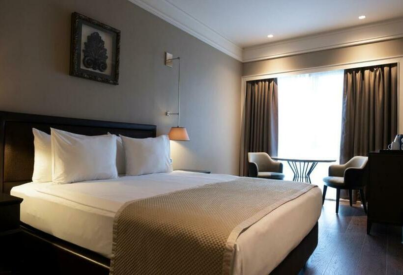 اتاق استاندارد با تخت بزرگ, Windsor Hotel & Convention Center Istanbul