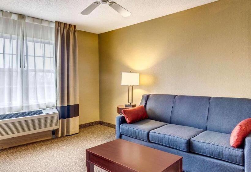 Люкс Кровать Кинг, Comfort Inn & Suites Graftoncedarburg