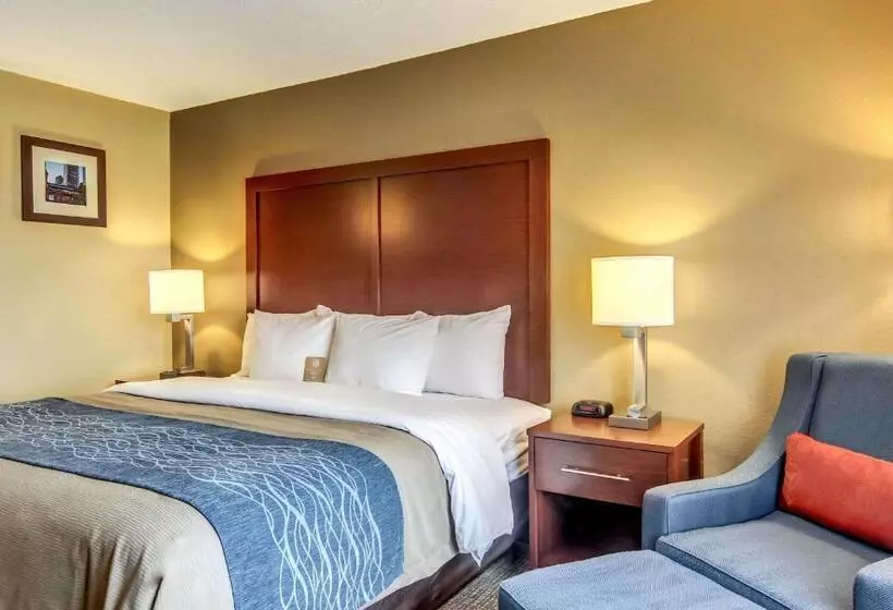 Sviitti King-vuode, Comfort Inn & Suites Graftoncedarburg