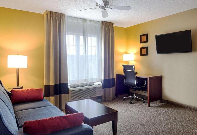 Люкс Адаптированный для Инвалидов, Comfort Inn & Suites Graftoncedarburg