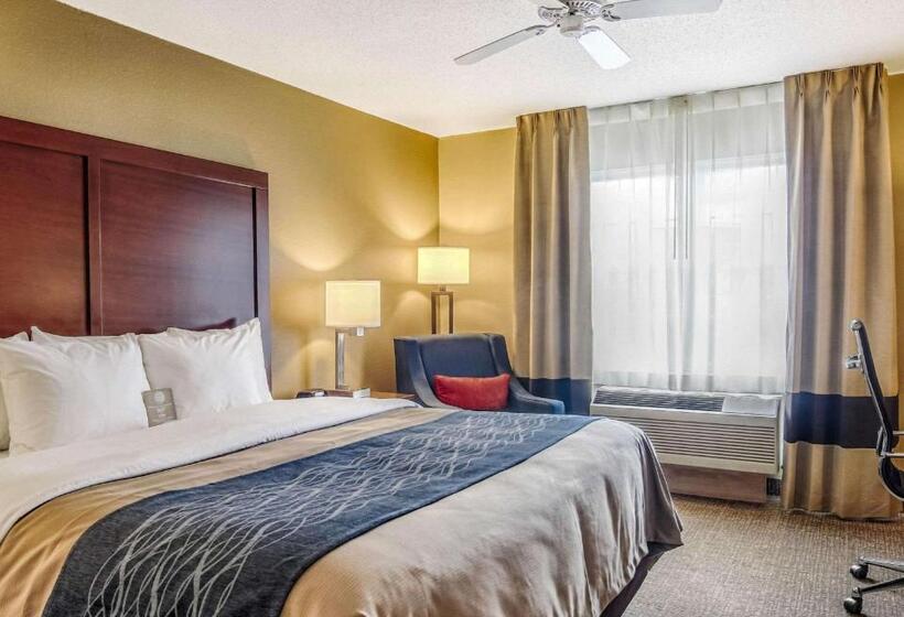 Номер Стандарт Адаптированный для Инвалидов, Comfort Inn & Suites Graftoncedarburg
