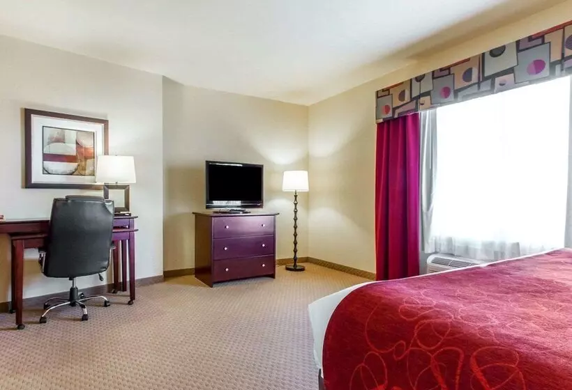 スイート, Comfort Suites Florence Shoals Area