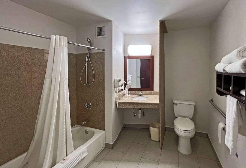 جناح, Comfort Suites Jacksoncape Girardeau