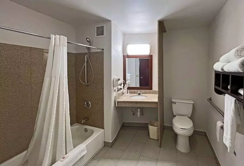 スイート, Comfort Suites Jacksoncape Girardeau