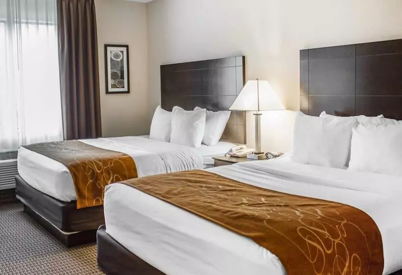 スイート, Comfort Suites Lewisburg