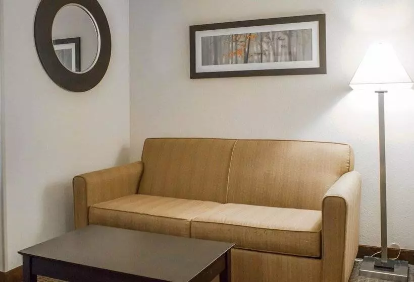 スイート, Comfort Suites Lewisburg