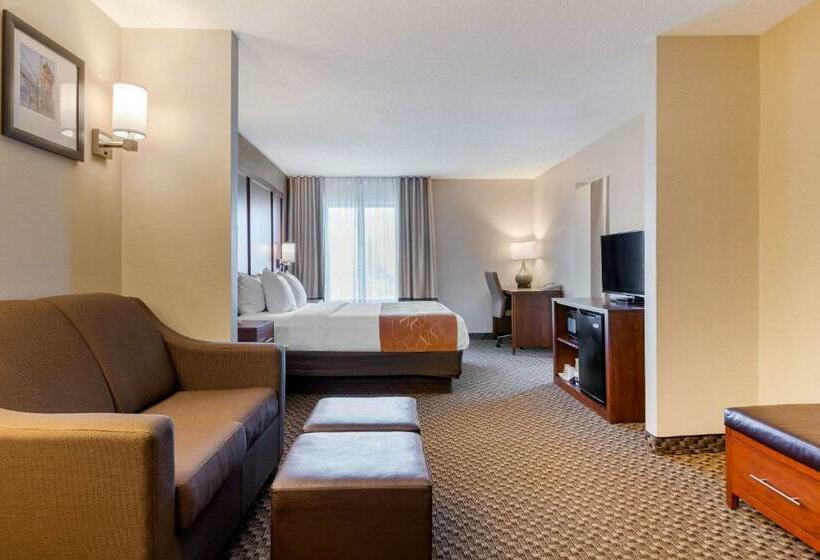 带大床的套房, Comfort Suites South Haven Near I96