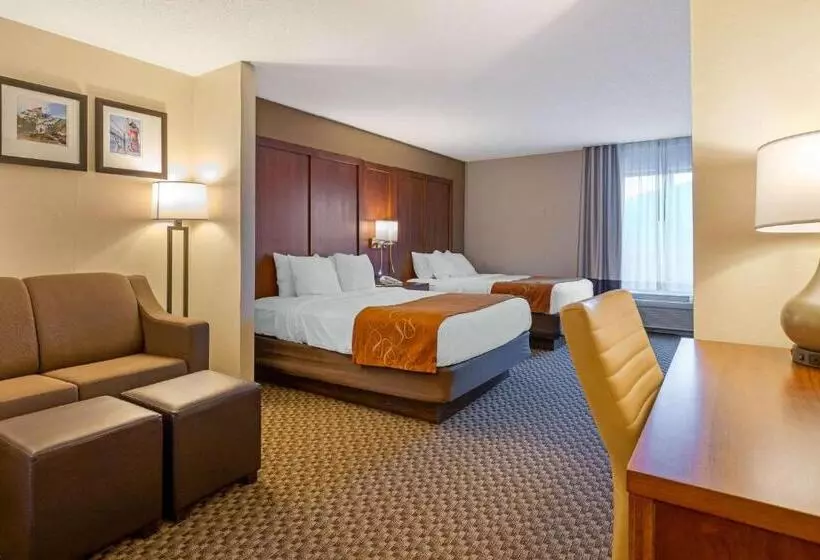スイート, Comfort Suites South Haven Near I96