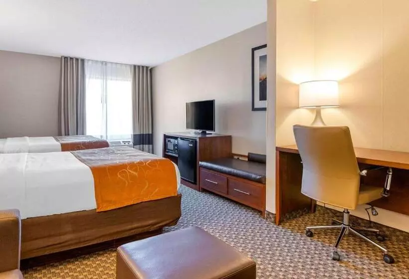 スイート, Comfort Suites South Haven Near I96