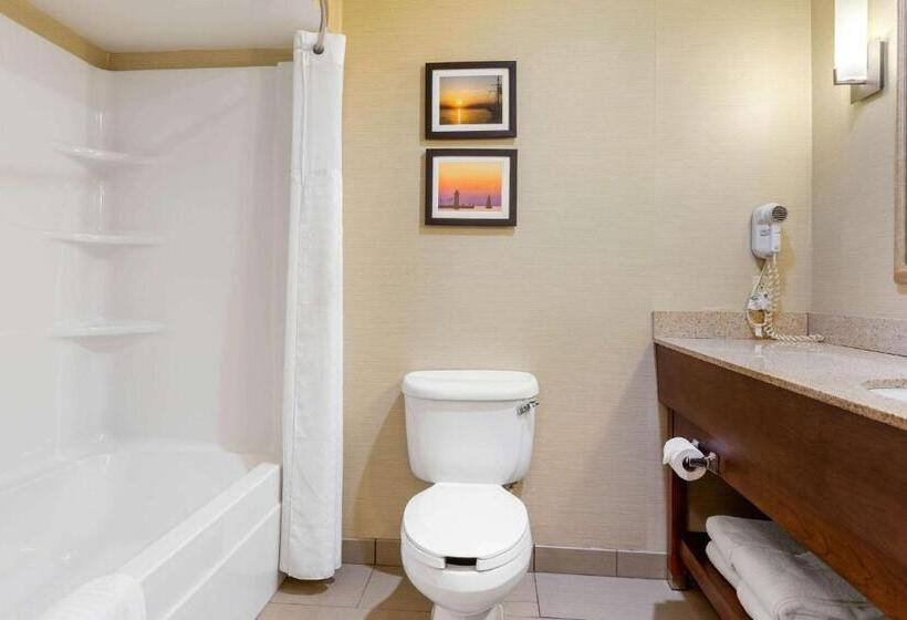 جناح, Comfort Suites South Haven Near I96