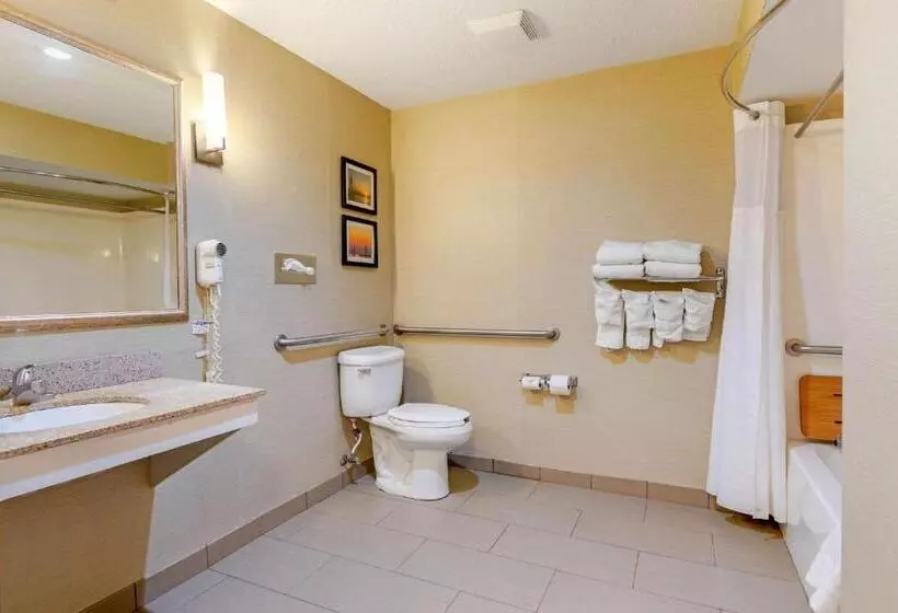 身障者適用スイートルーム, Comfort Suites South Haven Near I96