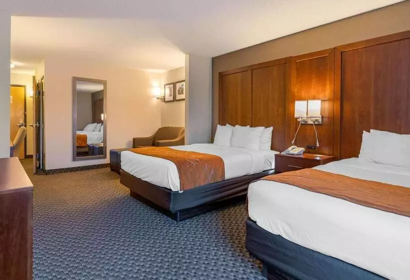 身障者適用スイートルーム, Comfort Suites South Haven Near I96