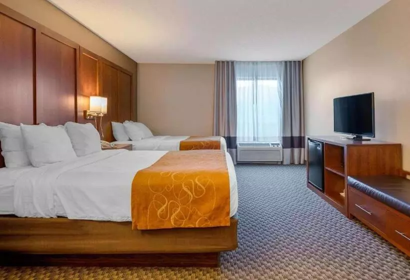 身障者適用スイートルーム, Comfort Suites South Haven Near I96