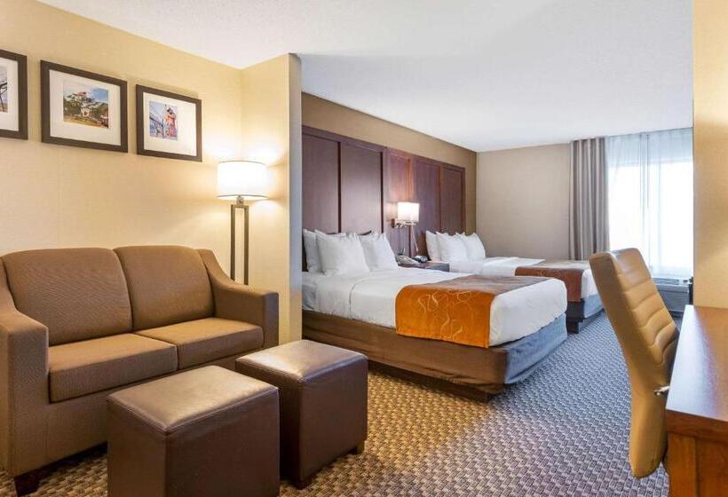 جناح لذوى الاحتياجات الخاصة, Comfort Suites South Haven Near I96