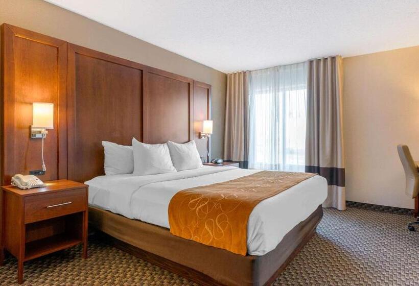 适合残疾人士使用的套间, Comfort Suites South Haven Near I96