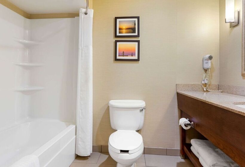 جناح, Comfort Suites South Haven Near I96