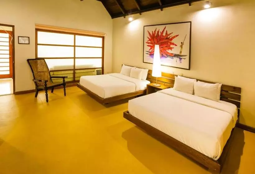 スタンダードルーム, Decameron Decalodge Ticuna