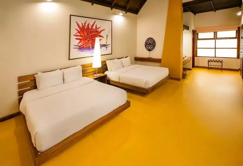 スタンダードルーム, Decameron Decalodge Ticuna
