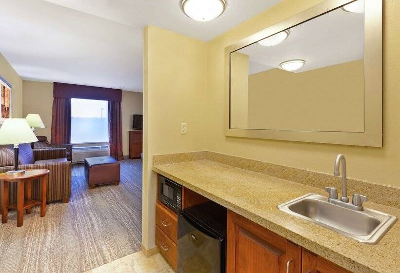 スタンダードスタジオ, Hampton Inn & Suites Exmore   Eastern Shore