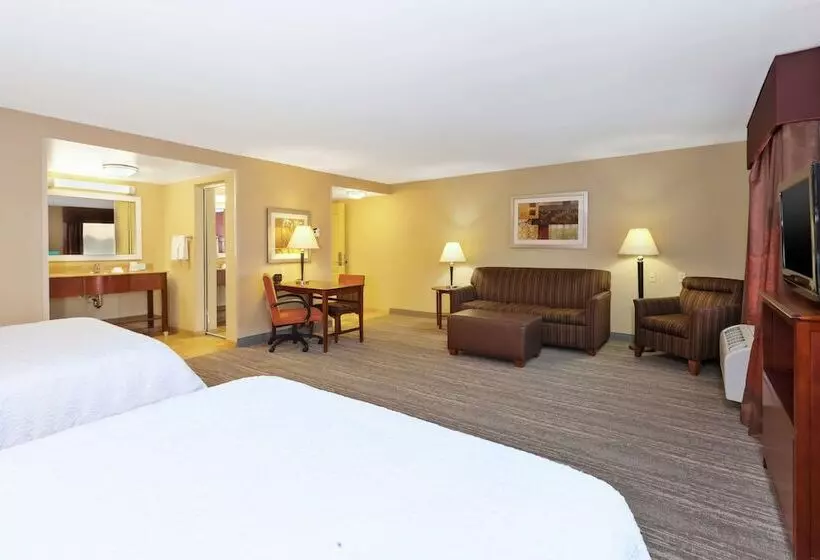 Standard-studio, Hampton Inn & Suites Exmore Eastern Shore