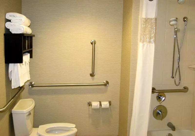 اتاق استاندارد با تخت بزرگ, Hampton Inn & Suites Salt Lake City University/foothill Dr