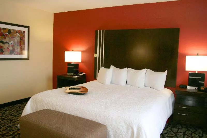 اتاق استاندارد با تخت بزرگ, Hampton Inn & Suites Salt Lake City University/foothill Dr