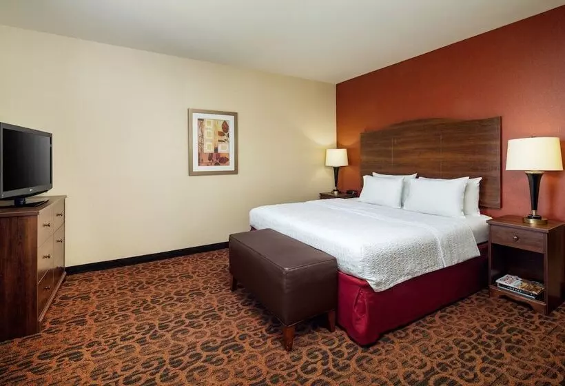 スタンダードルーム, Hampton Inn & Suites Scottsdale At Talking Stick