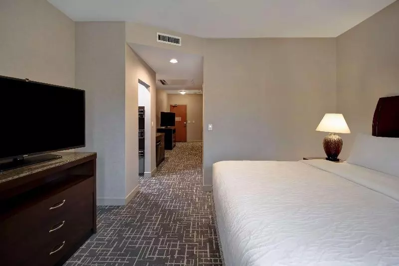 سوئیت با تخت بزرگ, Hilton Garden Inn Twin Falls