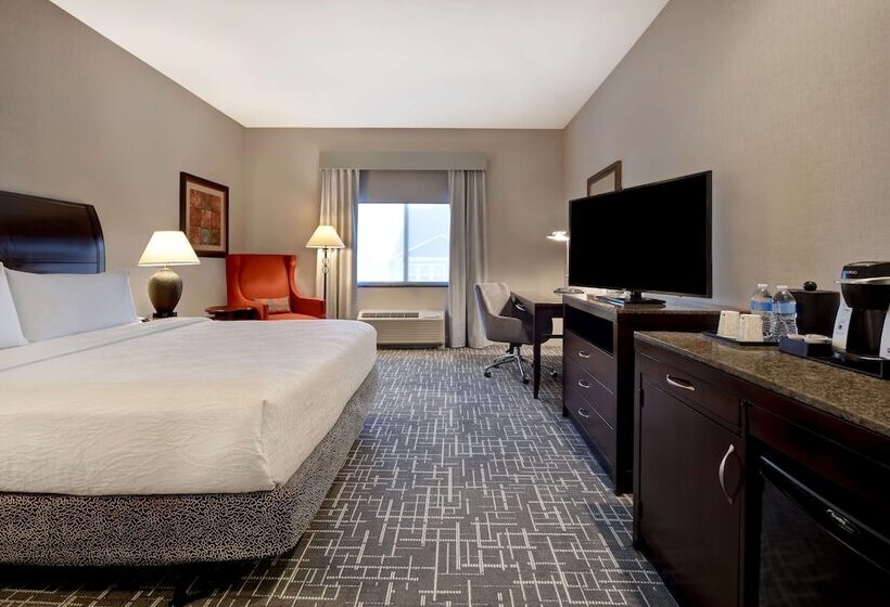 غرفة قياسية لذوى الاحتياجات الخاصة, Hilton Garden Inn Twin Falls