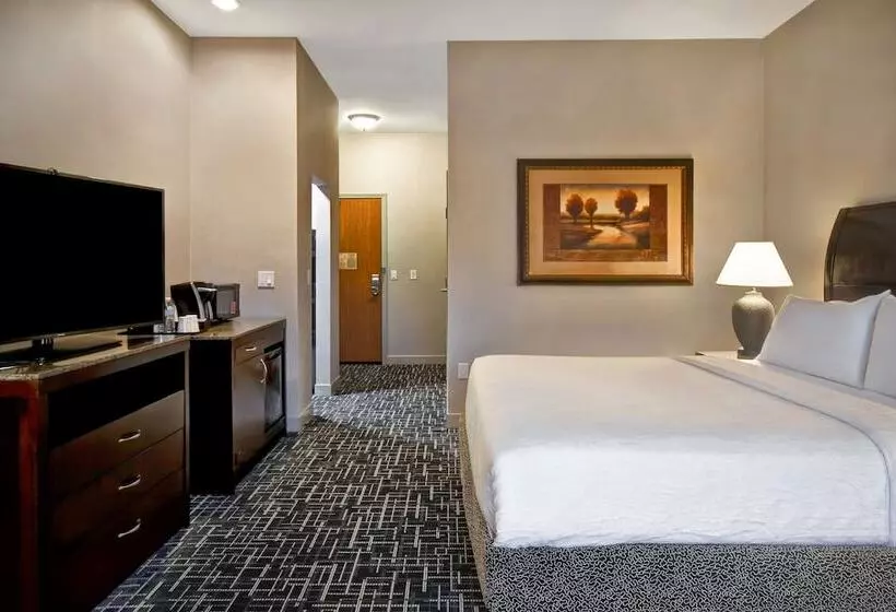 اتاق استاندارد برای معلولان, Hilton Garden Inn Twin Falls