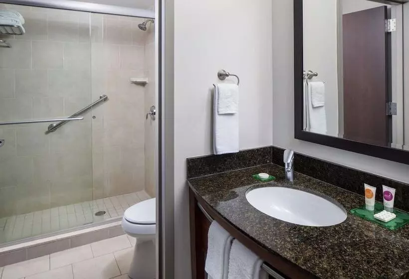 景色の見えるダブルベッドスタンダードルーム, Hyatt Place Long Island East End