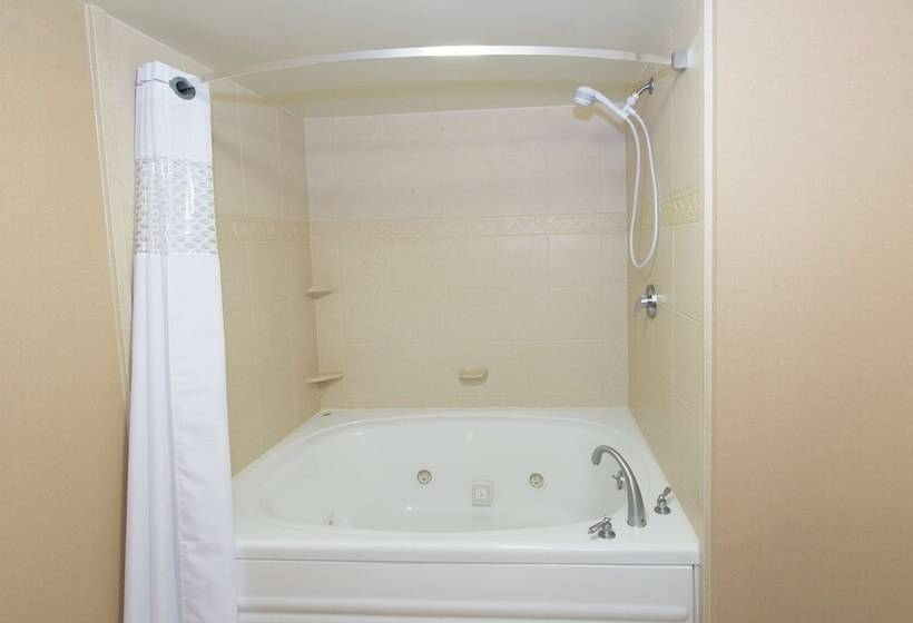 Номер Стандарт Адаптированный для Инвалидов, Hampton Inn Suites Scottsboro