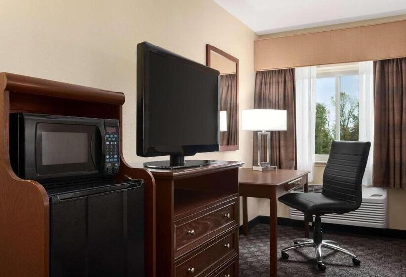 اتاق استاندارد با تخت بزرگ, Baymont By Wyndham Mt. Pleasant