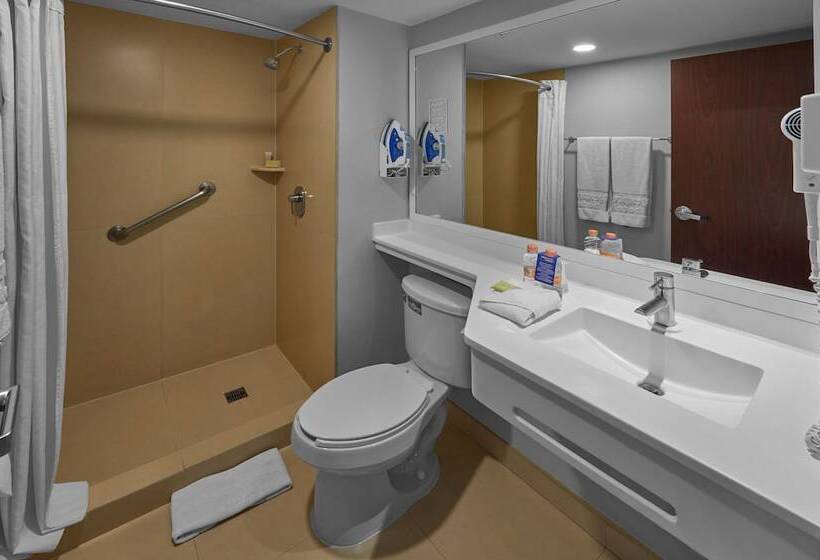 带2个双人床的标准工作室, City Express By Marriott Ciudad Obregon