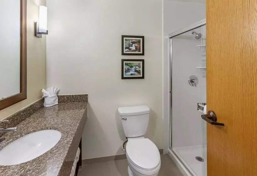 Sviitti, Comfort Suites Ogden Conference Center