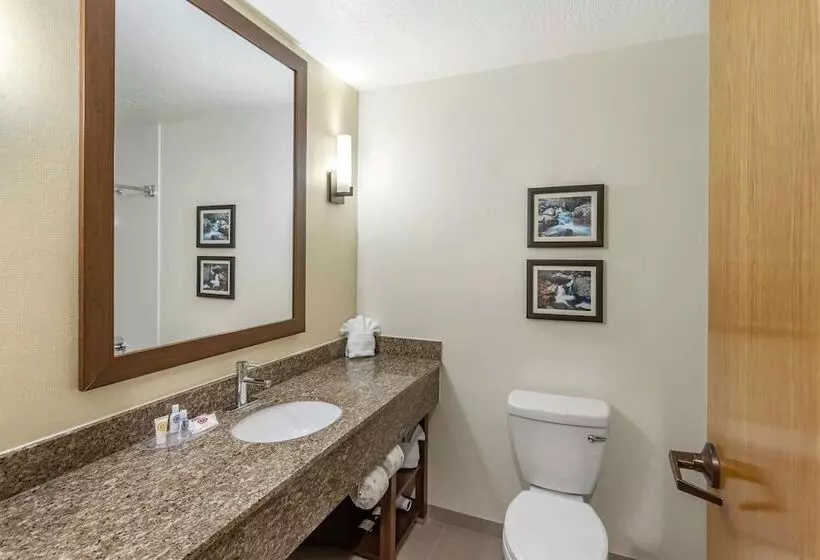 Sviitti, Comfort Suites Ogden Conference Center