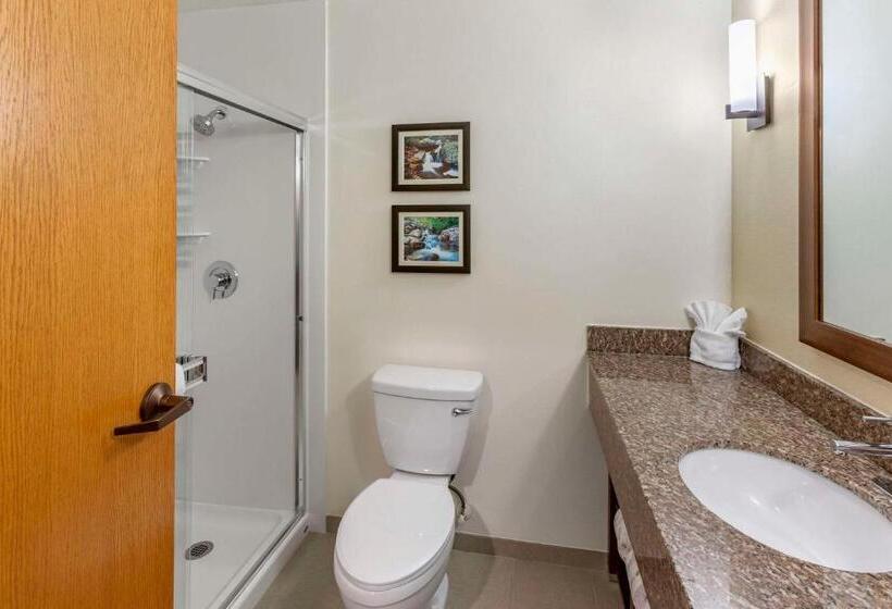 Люкс, Comfort Suites Ogden Conference Center