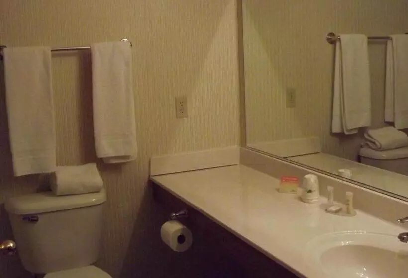 キングサイズベッドのスタンダードルーム, Howard Johnson By Wyndham Oacoma Hotel & Suites