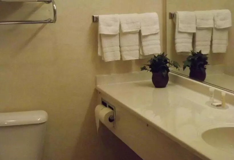 キングサイドベッドのスタンダードワンルーム, Howard Johnson By Wyndham Oacoma Hotel & Suites