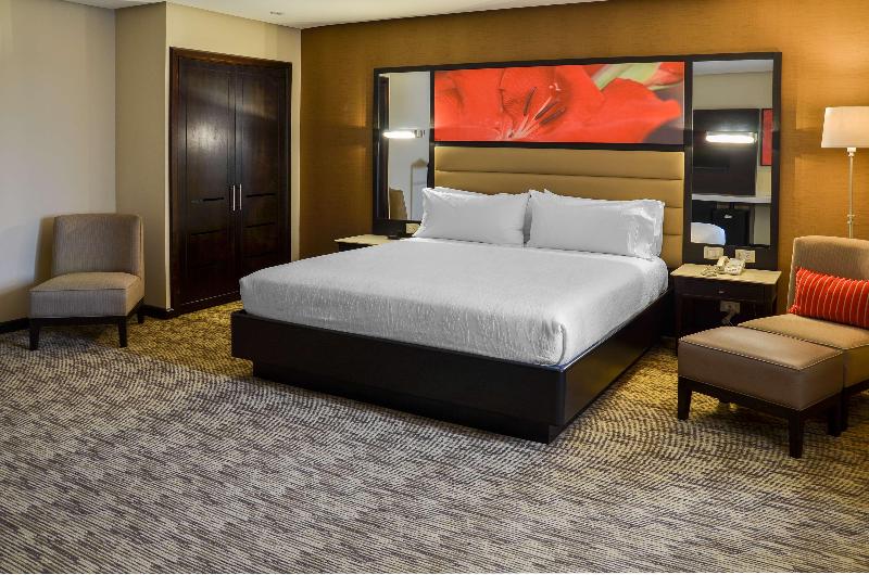 豪华房间, King Fy