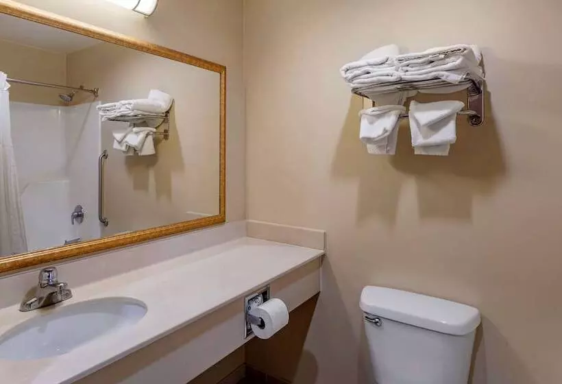 ２ダブルベッドのスタンダードルーム, Quality Inn & Suites Rockport   Owensboro North