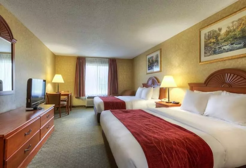 ２ダブルベッドのスタンダードルーム, Quality Inn & Suites Rockport   Owensboro North