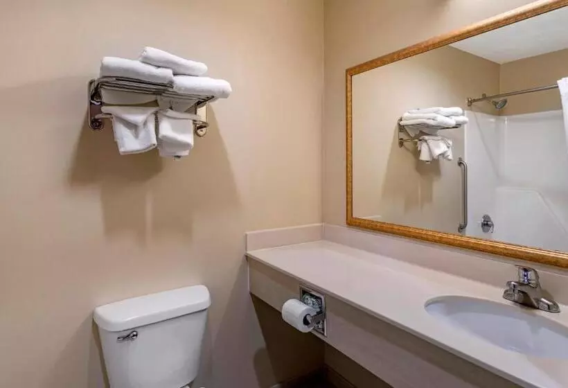 キングサイズベッドのスタンダードルーム, Quality Inn & Suites Rockport   Owensboro North