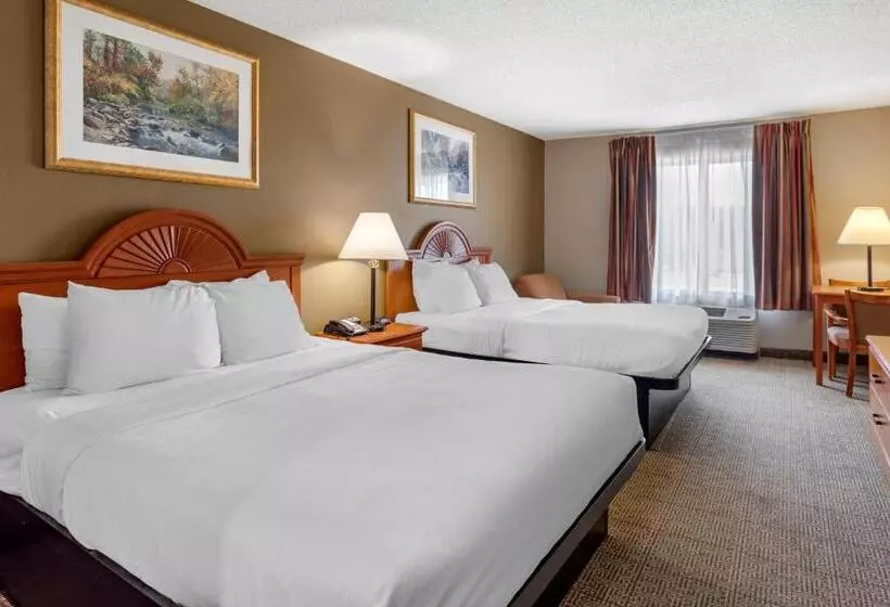 身障者適用スタンダードルーム, Quality Inn & Suites Rockport   Owensboro North